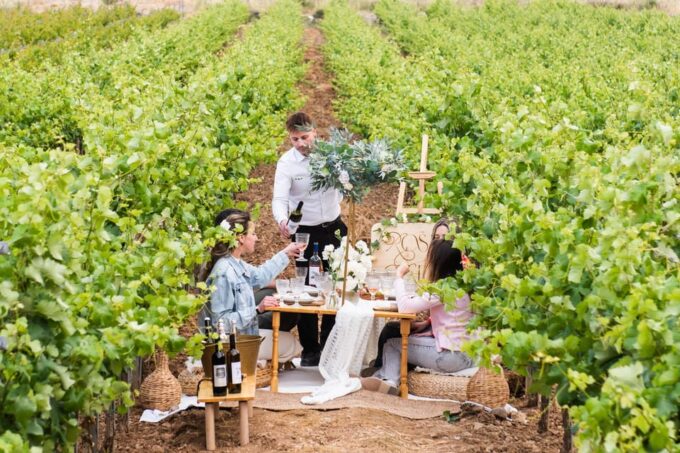 Luxury Picnic Gathering & Wine Tasting at Kerateas Vineyard - Amenities and Setup