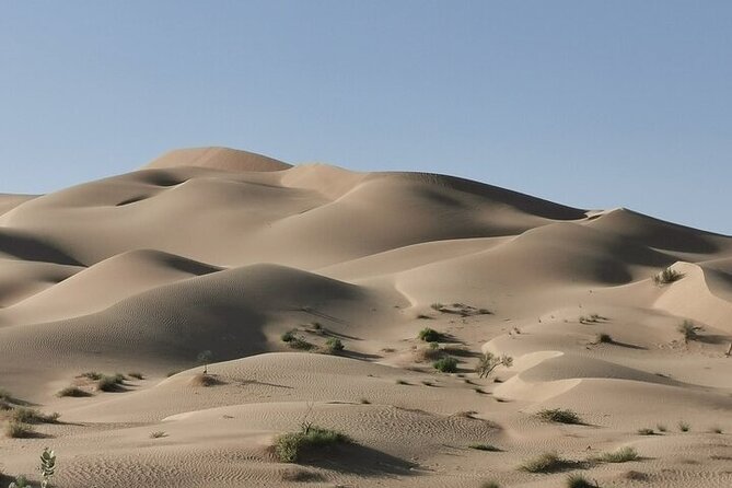 Luxury Sunset Desert Safari - Traveler Reviews and Ratings