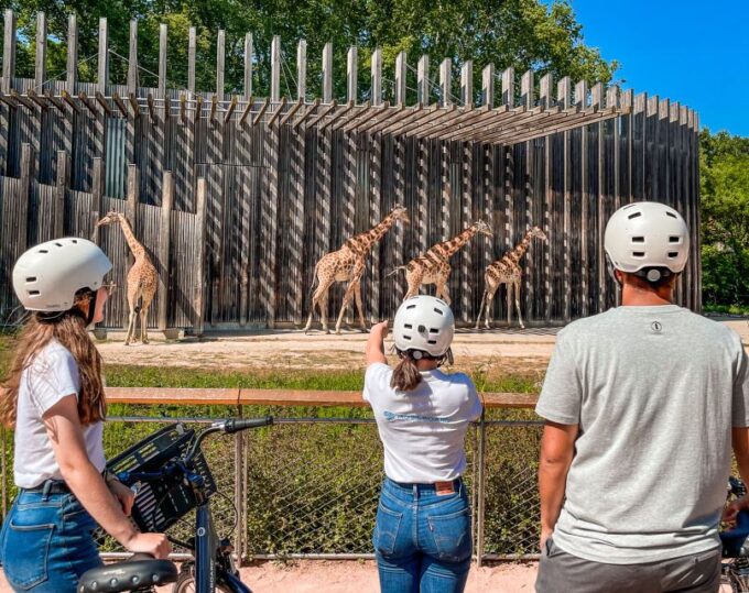 Lyon: Parc Tête Dor Bike Tour - Meeting Point and Duration