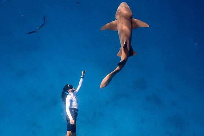 Maafushi: Ship Wreck & Nurse Shark Snorkeling With Dolphin Watching - Pickup Information