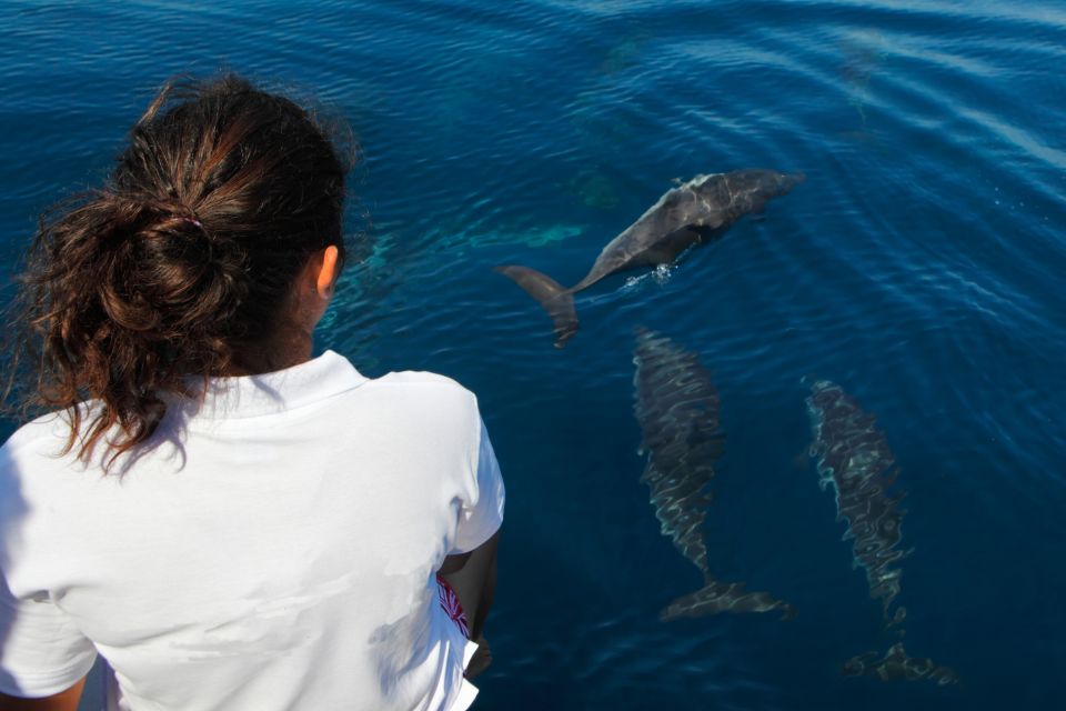 Makadi Bay: Dolphin Watching Boat Tour With Lunch & Drinks - Booking and Cancellation Policy