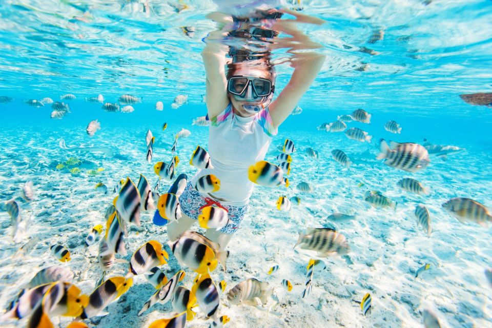 Makadi: Orange Island Snorkeling, Diving, and Water Sports - Tips for Participants