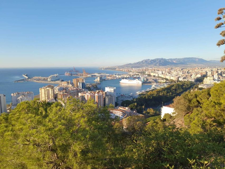 Malaga: 2-Hour Guided City Highlights Tour by Electric Bike - Frequently Asked Questions