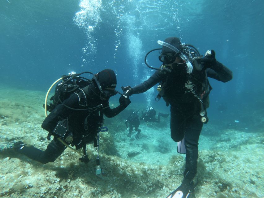 Malta: St. Pauls Bay 1 Day Scuba Diving Course - Nearby Attractions and Activities