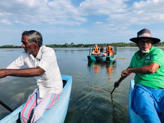 Mangrove Lagoon Safari - Booking and Availability