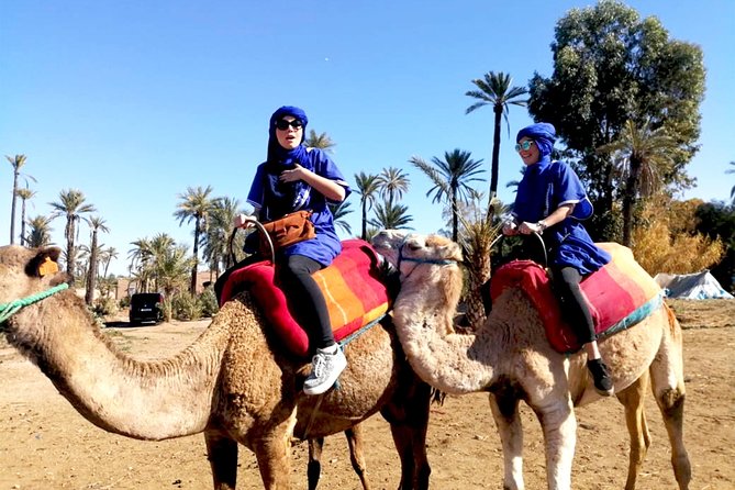 Marrakech Camel Ride & Quad Bike Experience in the Oasis Palmeraie - Exploring the Oasis Palmeraie