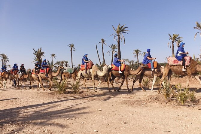 Marrakech Desert Camel Ride - Operational Details