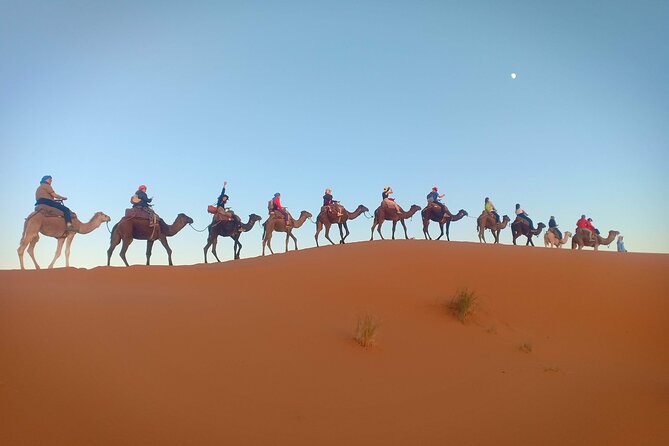 Marrakesh 3 Days Tour to Fez With Overnight Desert Camping - Inclusions and Amenities