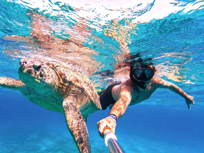 Marsa Alam: Snorkel With Sea Turtles Marsa Mubarak - Tips for First-Time Snorkelers