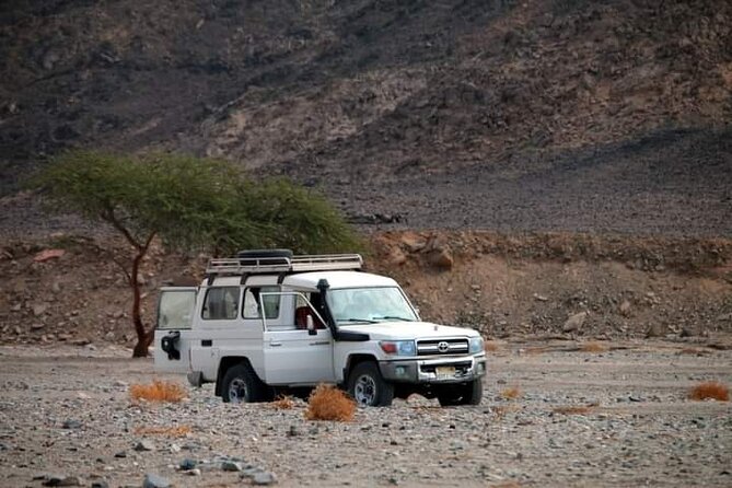 Marsa Alam Super Safari Quad, Jeep, Camel and Party With Dinner - Practical Information