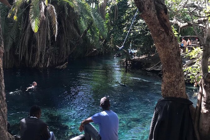 Materuni Waterfall - Coffee Tour or Chemka Hot Spring Tour - Traveler Reviews and Recommendations