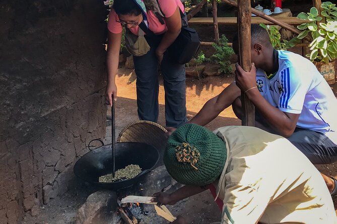 MATERUNI Waterfalls, Coffe Tour & Kikuletwa Hotsprings - Reviews and Traveler Feedback