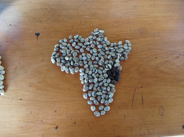 Materuni Waterfalls & Coffee Tour From Moshi - Additional Information