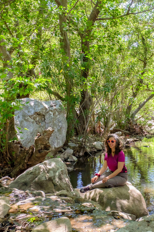 Meet the Trees in Cyclades Hiking Tour (Private Experience) - Visiting Historical Sites