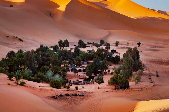 Merzouga Orange Dunes ATV Sandsurf Camels With 5 Stars Dinner - Traveler Reviews and Recommendations