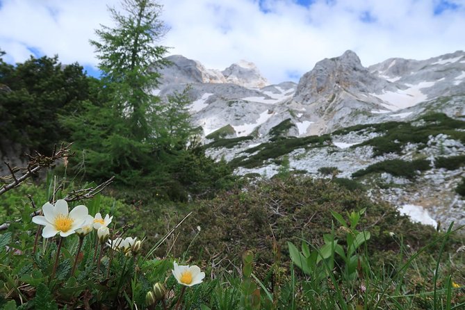 Mighty Mount Triglav Climb-summer Special-join Group - Stunning Summit Views