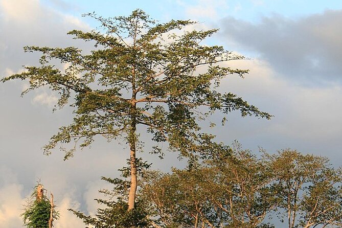 Mikumi National Park & Udzungwa Water Falls 3 Days Group Tour - Participant Considerations and Reviews