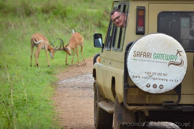 Mikumi Safari Tour: Day Trip Return Flight From Zanzibar - Accessibility and Considerations