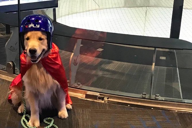 Minneapolis Indoor Skydiving Admission With 2 Flights & Personalized Certificate - Additional Information