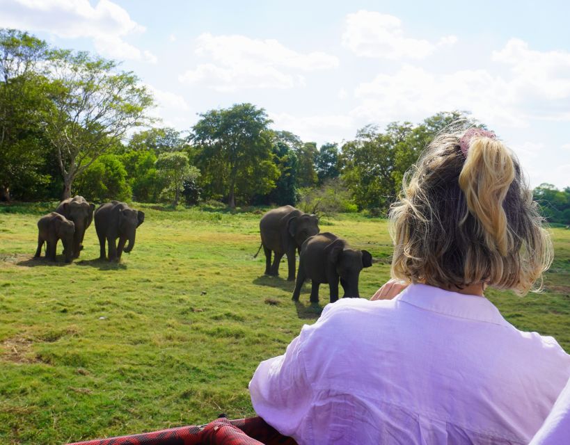 Minneriya National Park Half Day Sri Lanka Jeep Safari - Pickup Locations