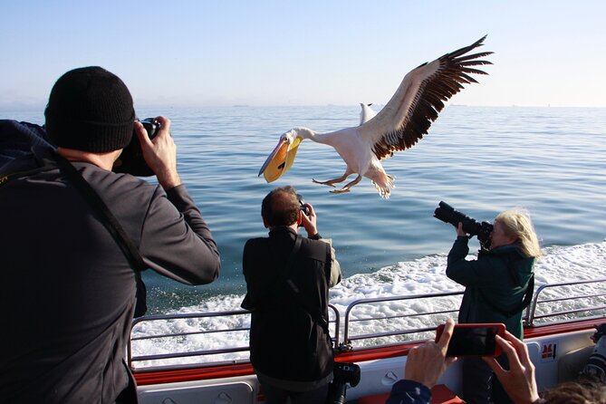 Mola Mola Marine Dune Experience - Booking Information and Policies