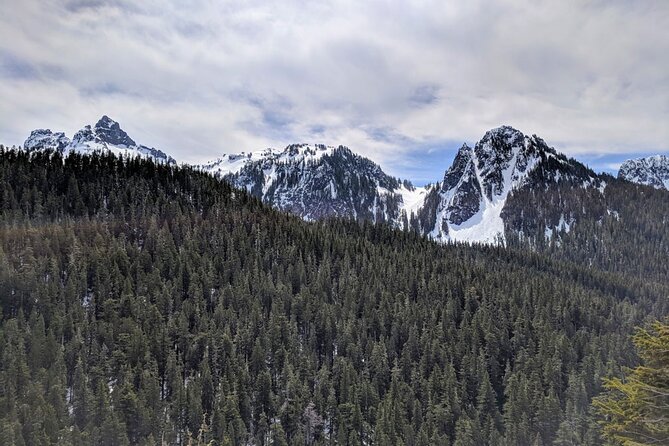 Mount Rainier National Park - Private Luxury Day Tour With Lunch - Booking Information