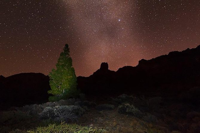 Mount Teide Night Tour: Stargazing, Dinner and Hotel Pick up - Authentic Dining Experience