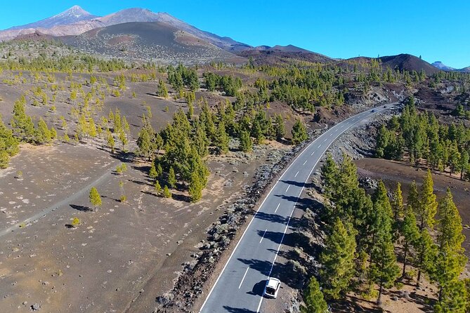 Mount Teide Quad Day Trip in Tenerife National Park - Memorable Adventure for All