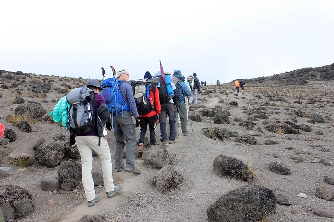 Mt Kilimanjaro Trek, 6 Days - Umbwe Route - Frequently Asked Questions