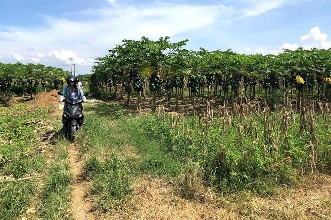 My Son Adventures Loop (1 Day - 150km) - Booking Your Tour