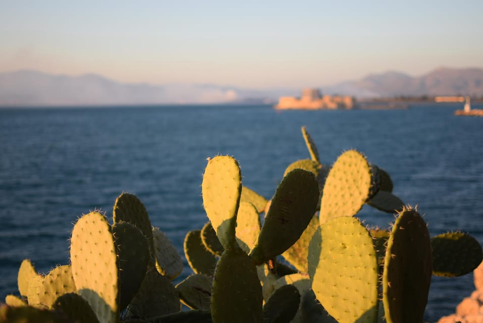 Nafplio: Private Walking Tour With a Local Tour Guide - Languages and Group Type