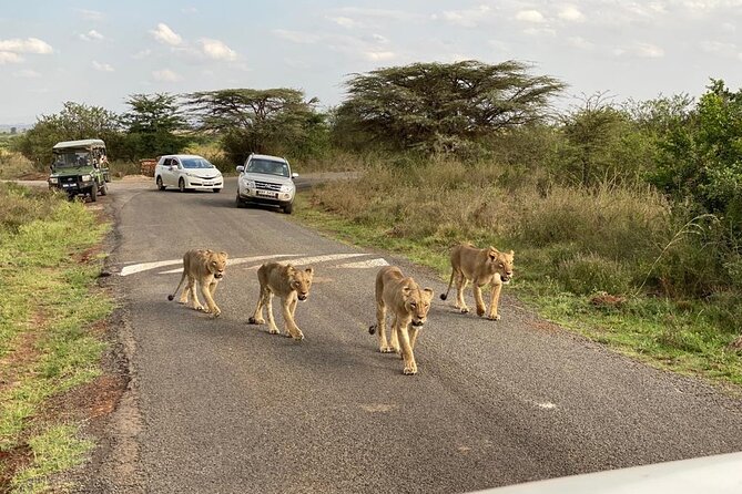 Nairobi National Park and Giraffe Center - Planning Your Visit