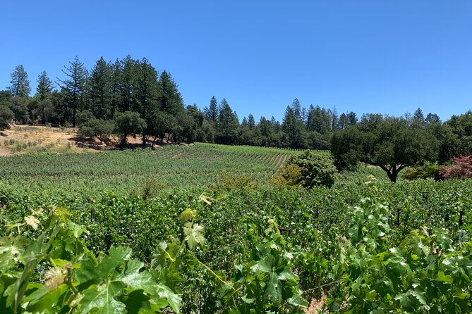 Napa & Sonoma Wine Tour | 6-8hr Private Fully Customized.*XL SUV - Recommended Wineries to Visit