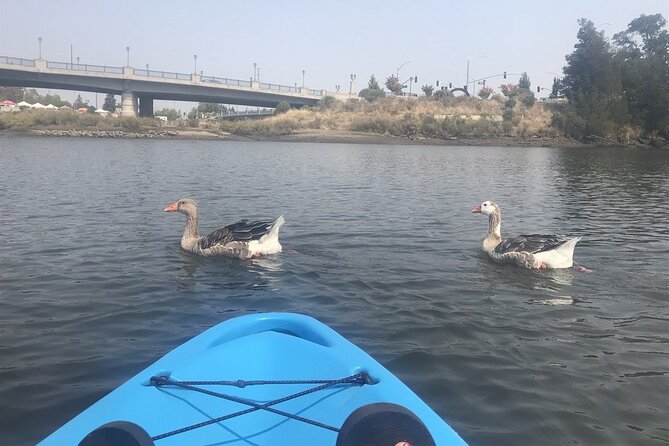 Napa Valley River History Kayak Tour: 2 Person Tandem - Sum Up