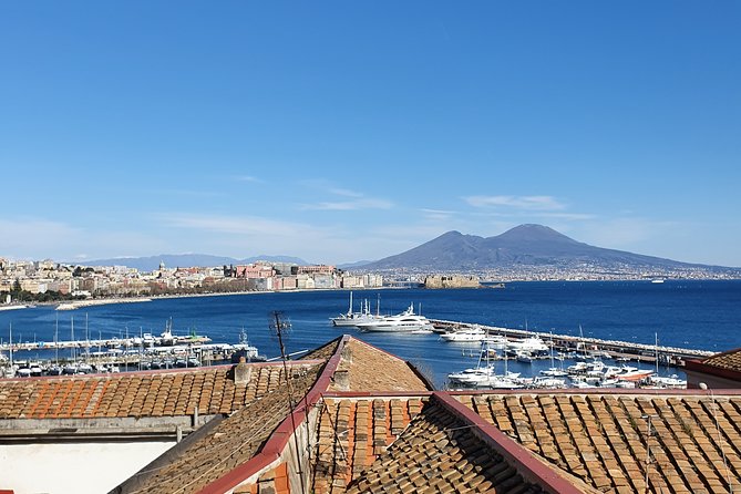 Naples City and Pompeii Half-Day Sightseeing Tour From Sorrento - Panoramic Views From Posillipo