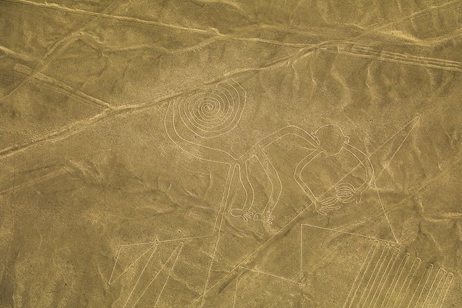 Nazca Lines From Nazca Airport - Booking and Cancellation Policy