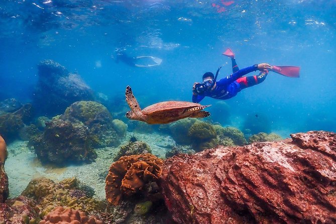 Nemo Island Experience With Drone Photos and Lunch - Guest Reviews and Ratings