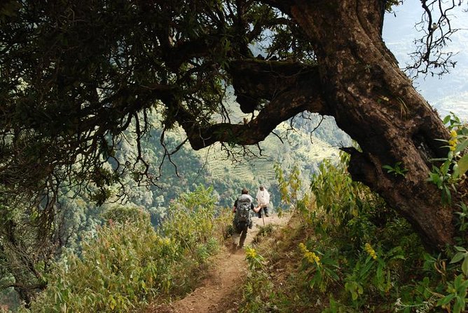 Nepal Round Tour With Annapurna Trek 14 Days - Pricing and Customization Options