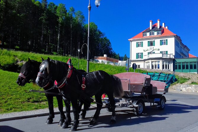 Neuschwanstein Castle and Highline 179 Private Tour  - Munich - Pickup Options