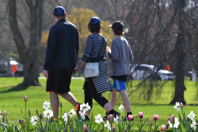Niagara Falls Day Tour From Toronto Airport - Cancellation and Refund Policy