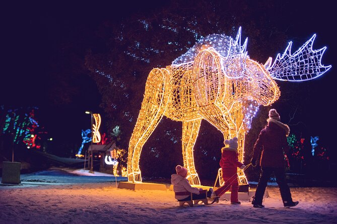 Niagara Falls Usa/Canada Winter Wonderland Adventure Tour - Things To Known