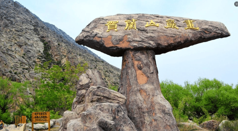 Ningxia Day Tour Mausoleum Red Wine Garden &Stone Carvings - Frequently Asked Questions