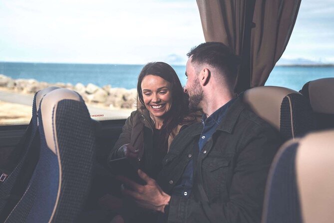 Northern Lights Guided Bus Tour From Reykjavik