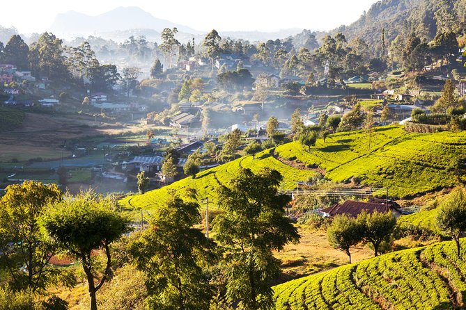 Nuwara Eliya Highlands From Kandy - Relaxing at Gregory Lake