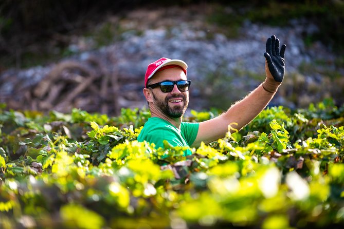 Olive Farm & Village - Guest Testimonials