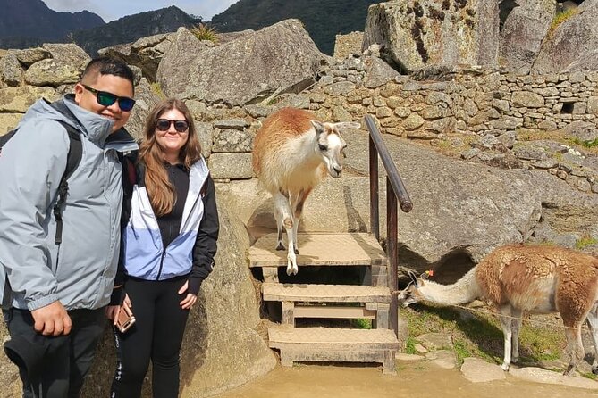 One-Day Group Excursion to Machu Picchu From Cusco - Guided Tour of Machu Picchu