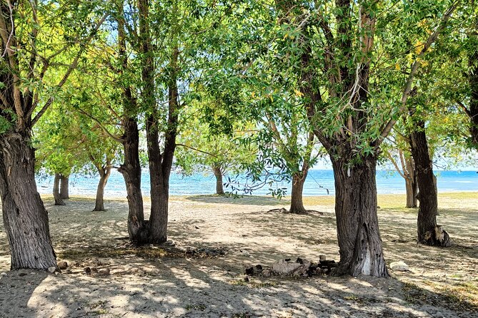One-Day Tour From Bishkek to Issyk-Kul Lake - Itinerary Highlights