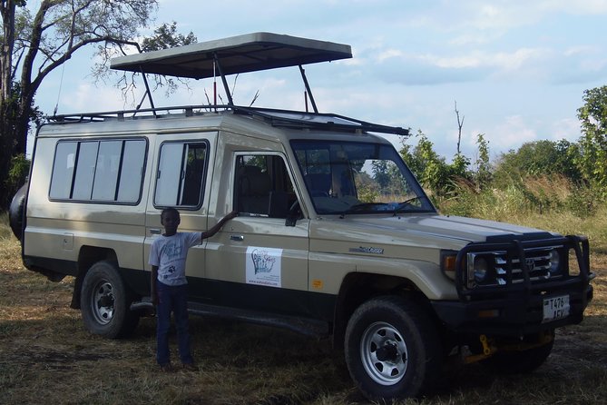 One Day Wildlife Safari in Mikumi National Park - Traveler Ratings and Reviews