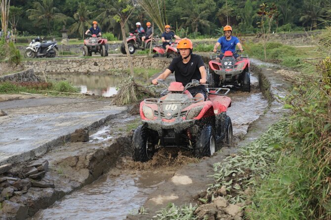 Organic Farm Cooking Class in Ubud With Bali Swing - Customer Reviews and Feedback