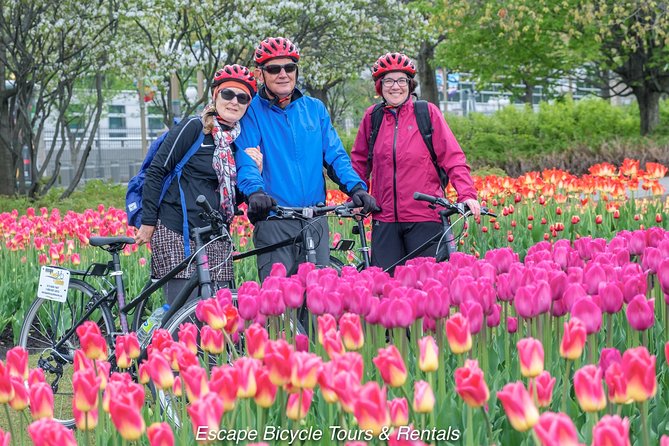 Ottawa Highlights 3.5 Hour Bike Tour - Pricing Information